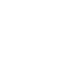 w_0013_13-AYD-CONSULTING