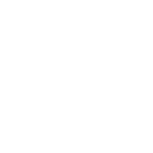 w_0016_10-RODA